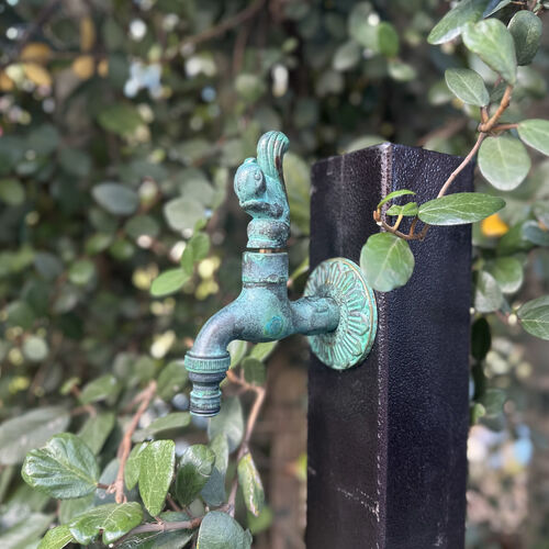 BangQi Messing-Tierarmaturen: Wo Laune auf Wunder trifft